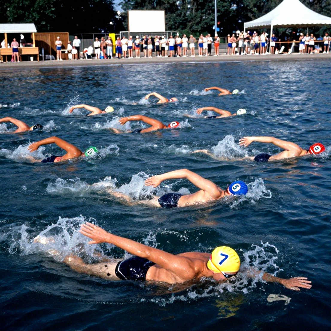 The Empty Chair in Fort Lauderdale: Twelve Aquatics Legends and a Two-Year Silence