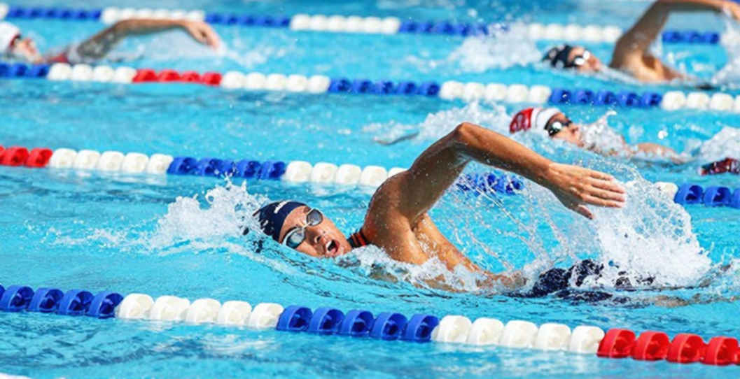 WADA 2026: Testing Growth Slows, Financial Gaps and the 2027 Milestone WADA 2026: Testing Growth Slows, Financial Gaps and the 2027 Milestone